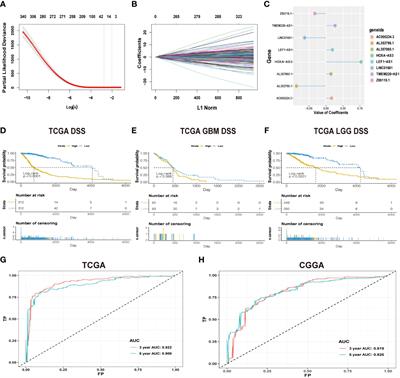 A novel prognostic related lncRNA signature associated with amino acid metabolism in glioma